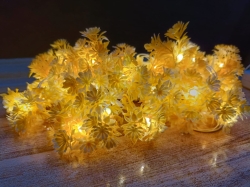 Small Yellow Flower With White Tip 60 LED String Fairy Lights