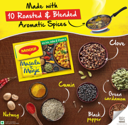 Maggi Masala-A-Magic