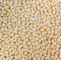 Urad Daal Loose